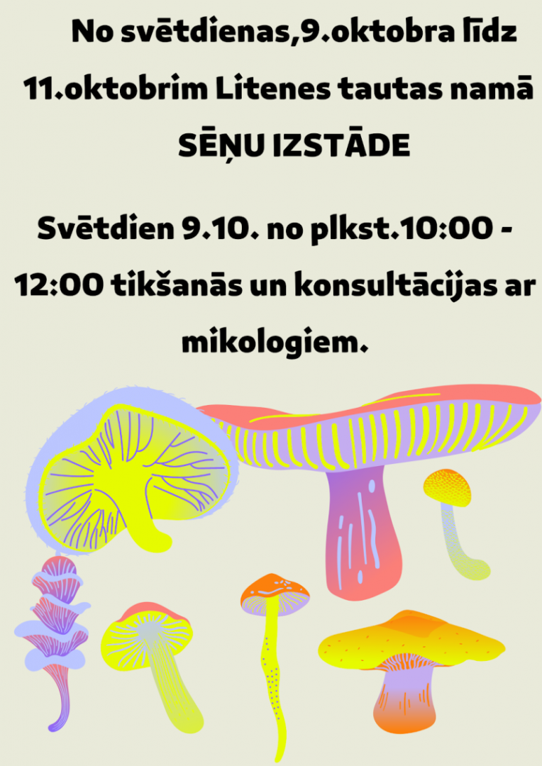 Bilde