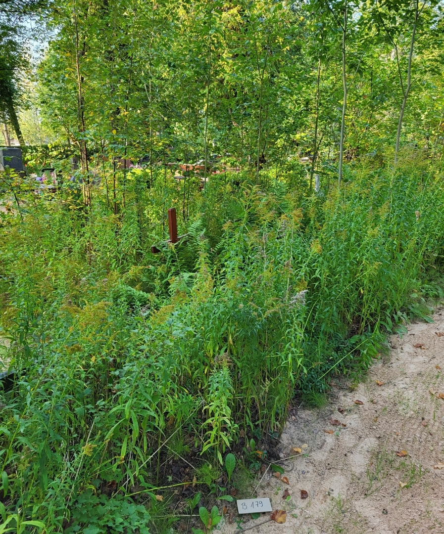 Attēls: Gulbenes vecajos kapos un Tanslavu kapos trīs gadus pēc kārtas ir veikta nekopto kapavietu apsekošana