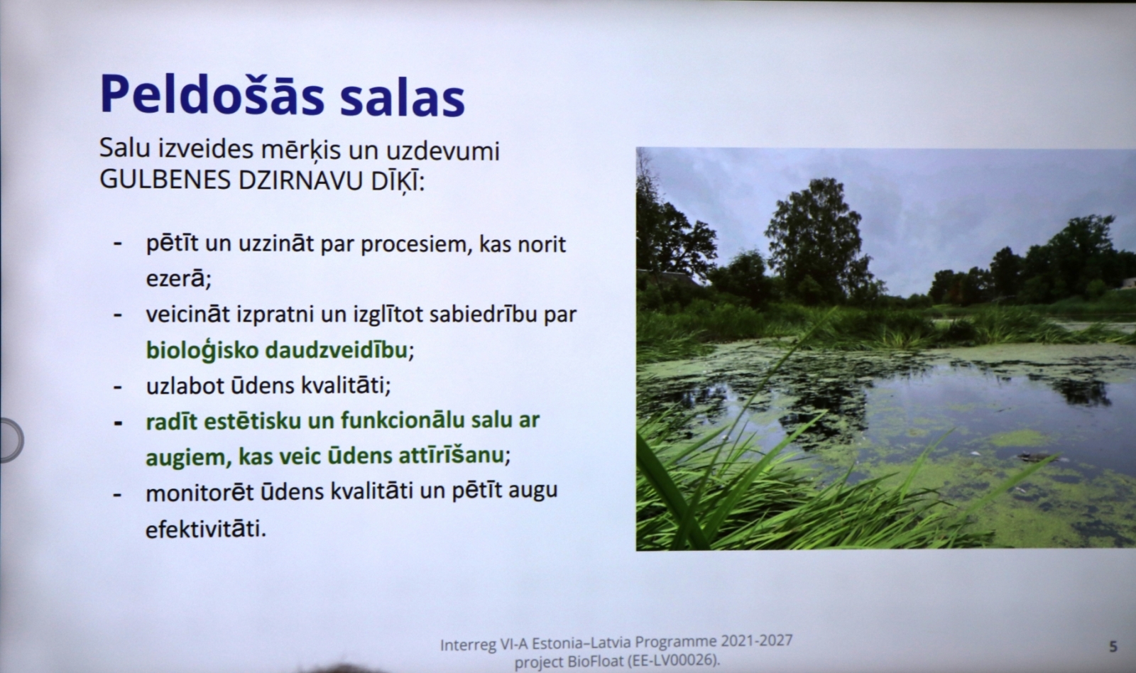 Diskusija par peldošās salas izveidi Dzirnavu dīķī Gulbenē. 