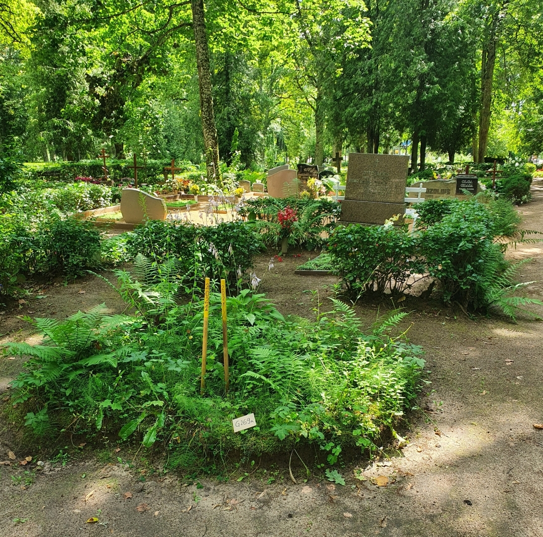 Attēls: Gulbenes vecajos kapos un Tanslavu kapos trīs gadus pēc kārtas ir veikta nekopto kapavietu apsekošana
