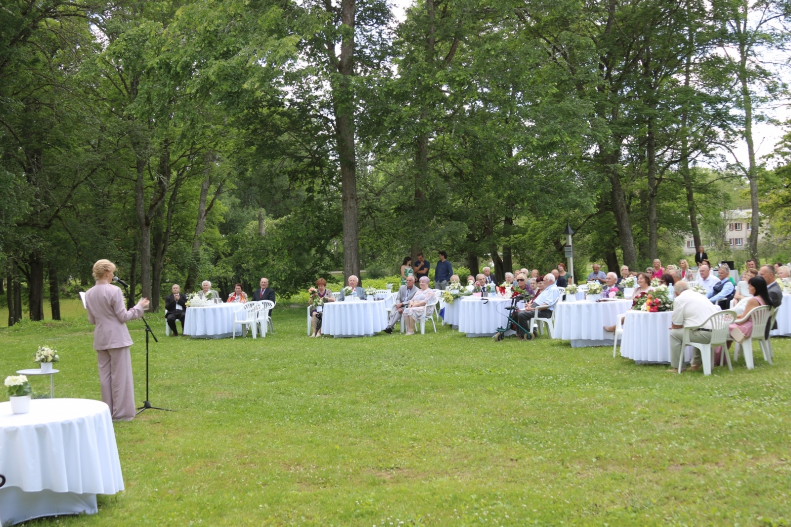 Attēls: 15.06.2024. Stāmerienas pils dārzā tika svinētas Goda kāzu jubilejas.
