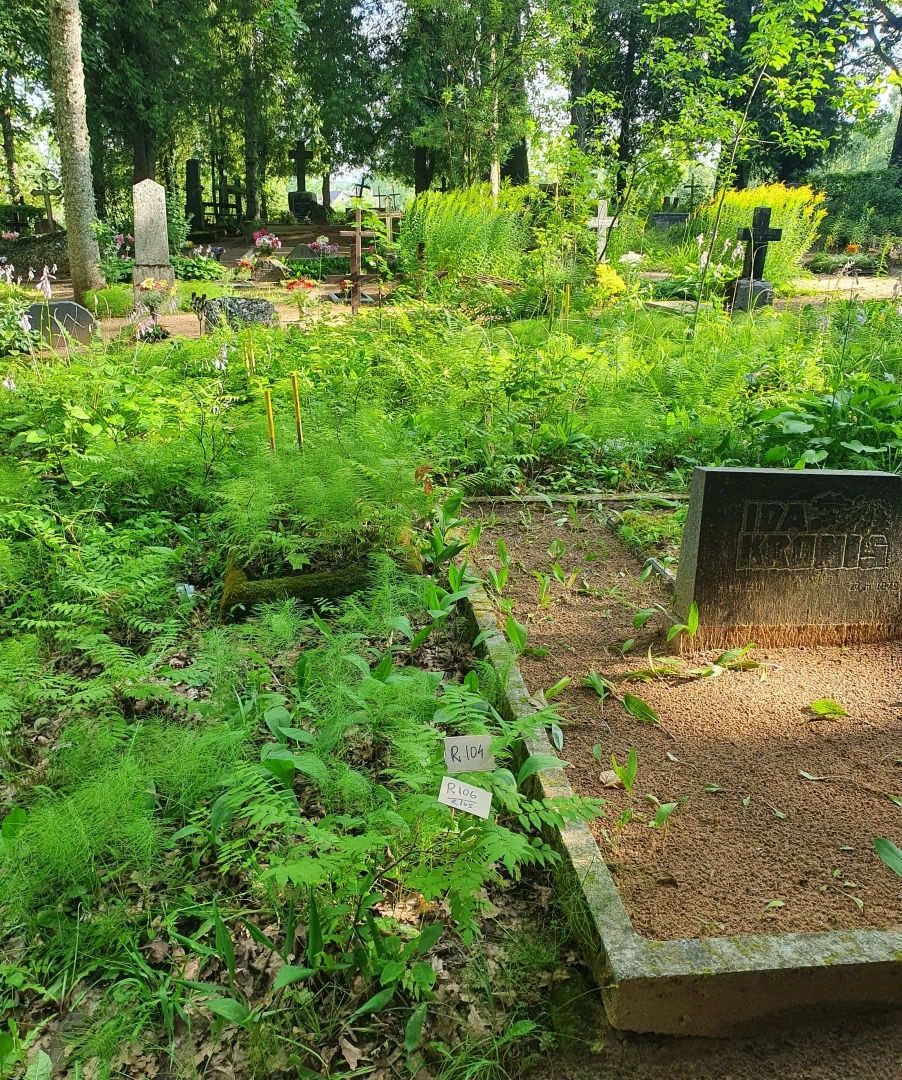Attēls: Gulbenes vecajos kapos un Tanslavu kapos trīs gadus pēc kārtas ir veikta nekopto kapavietu apsekošana