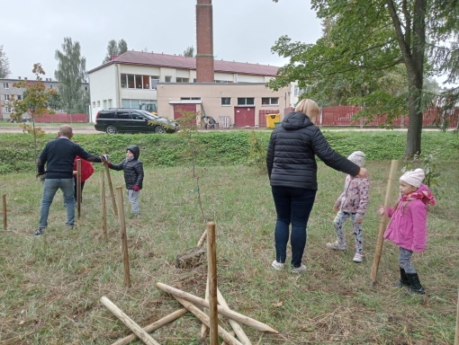 Brīvprātīgie seniori