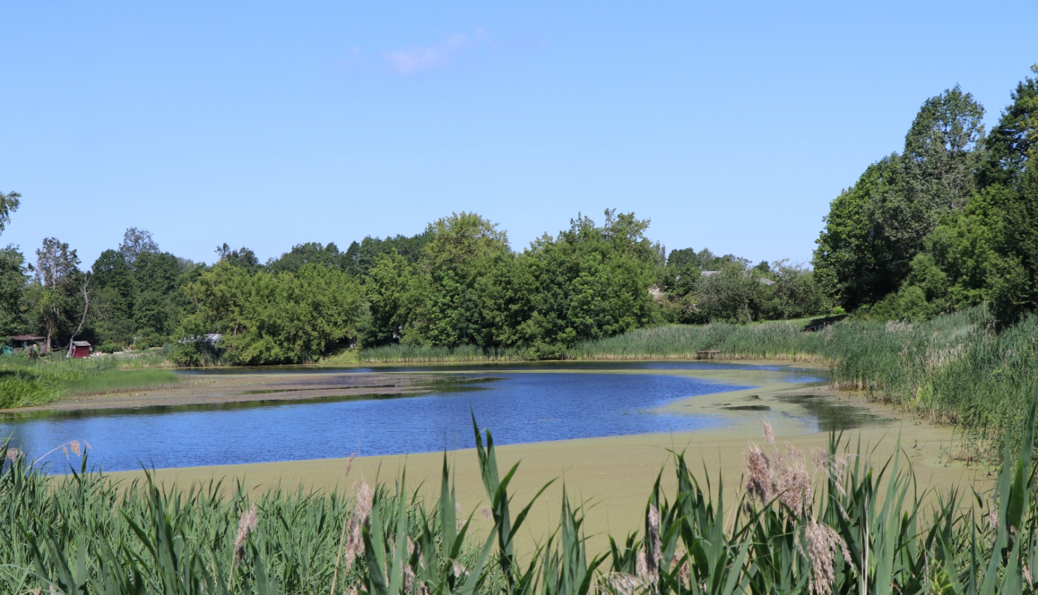 Turpina Dzirnavu dīķa Gulbenē izpēti