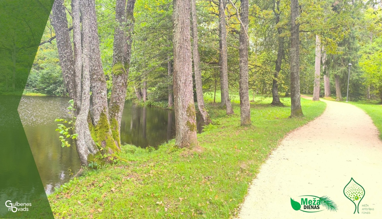 Attēls: aicina Meža dienas aktivitātes Gulbenē
