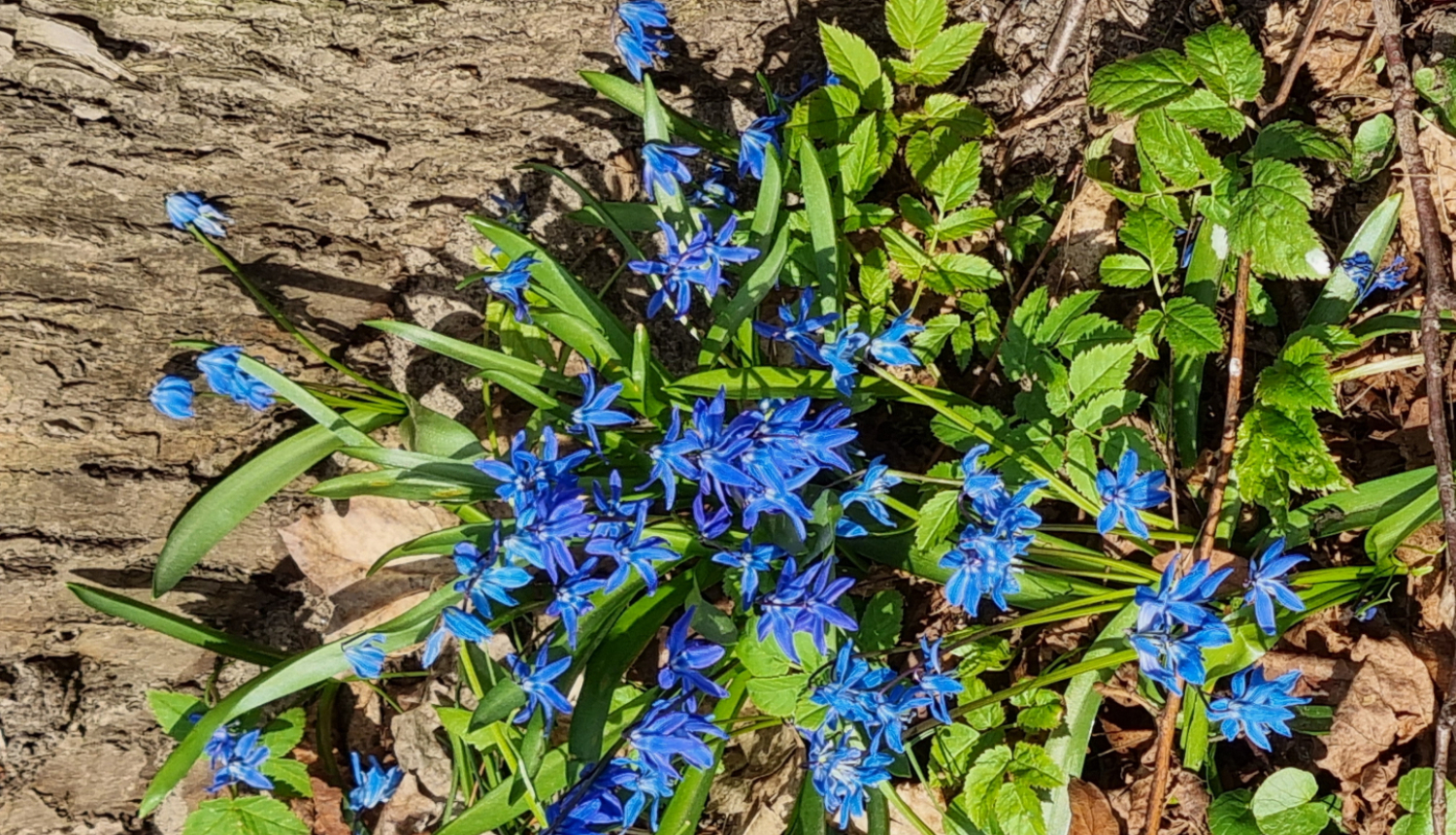 Attēls: Lielā talka 2026.gadā