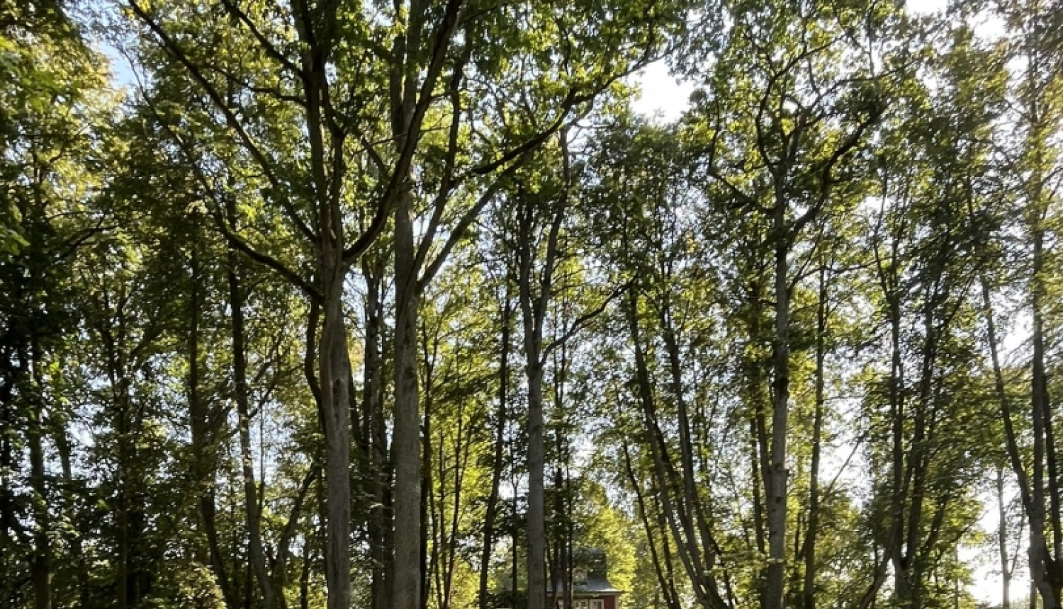 Attēls: SIA Leff starp laureātiem Vidzemes stāstos 2023