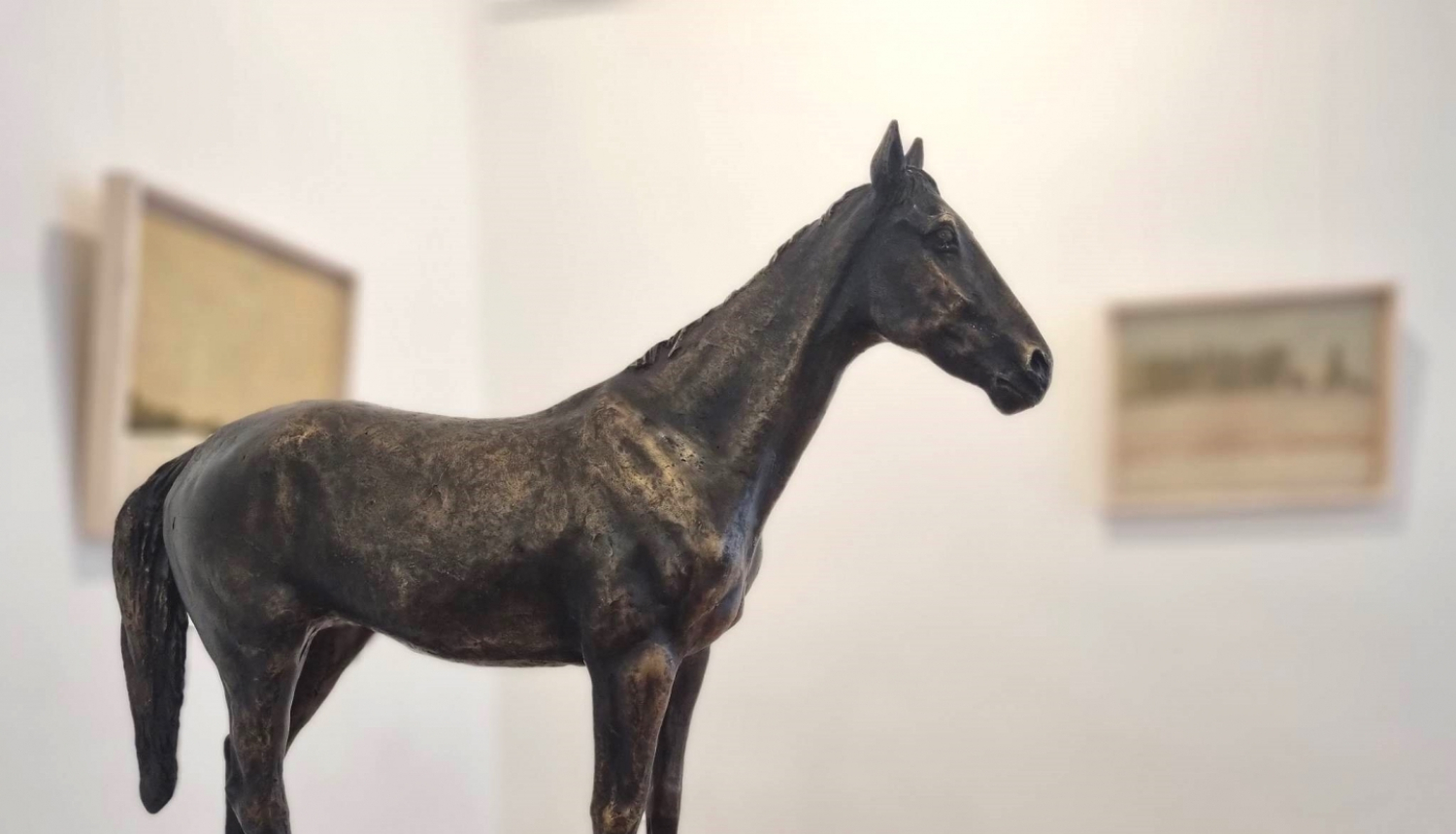 Attēls: izstāde par Tirzu