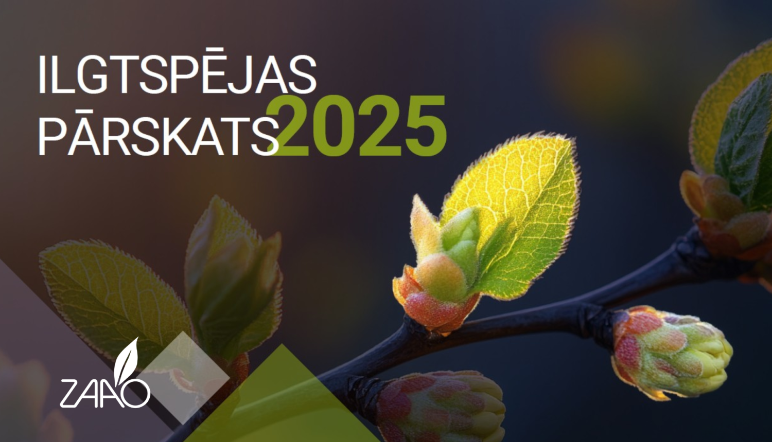 Ilgtspējas plakāts