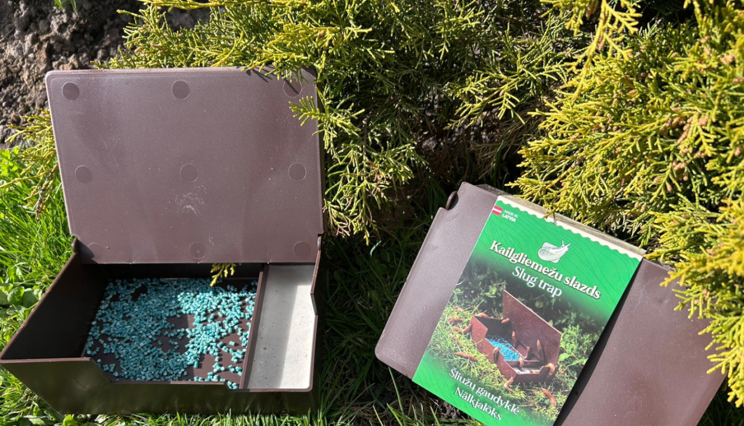 Attēls: Spānijas kailgliemežu apkarošanas metodes