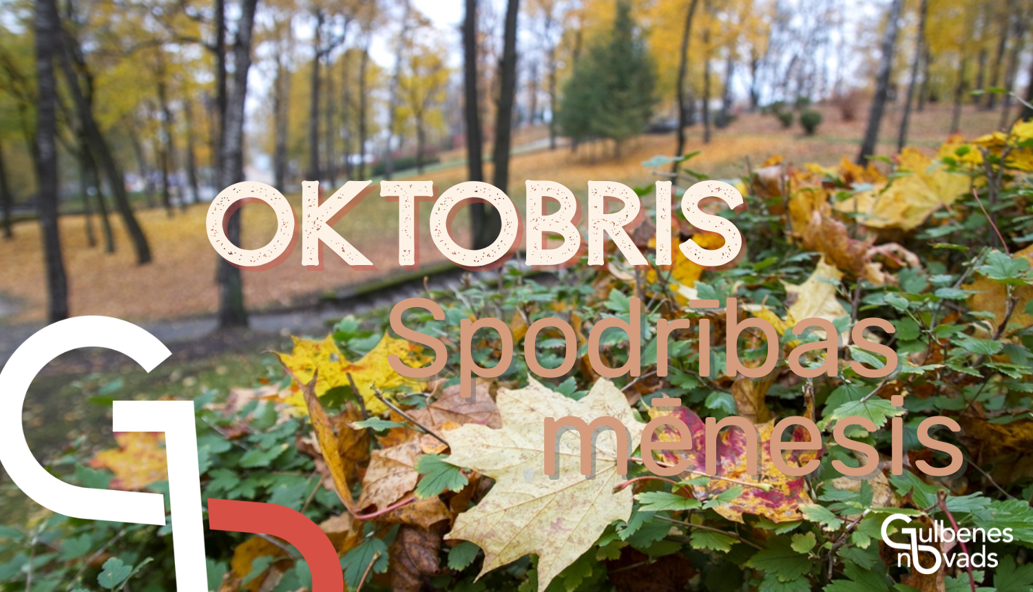 Attēls: Informācija par “Spodrības mēnesi”