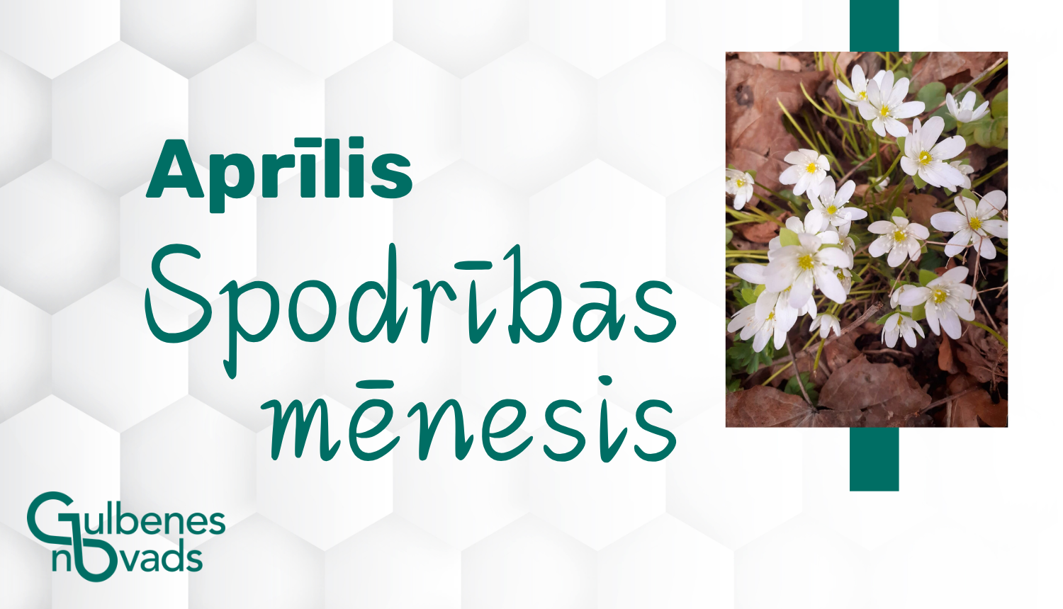 attēls: Gulbenē izsludināts spodrības mēnesis: kā pieteikt zaļo atkritumu izvešanu?