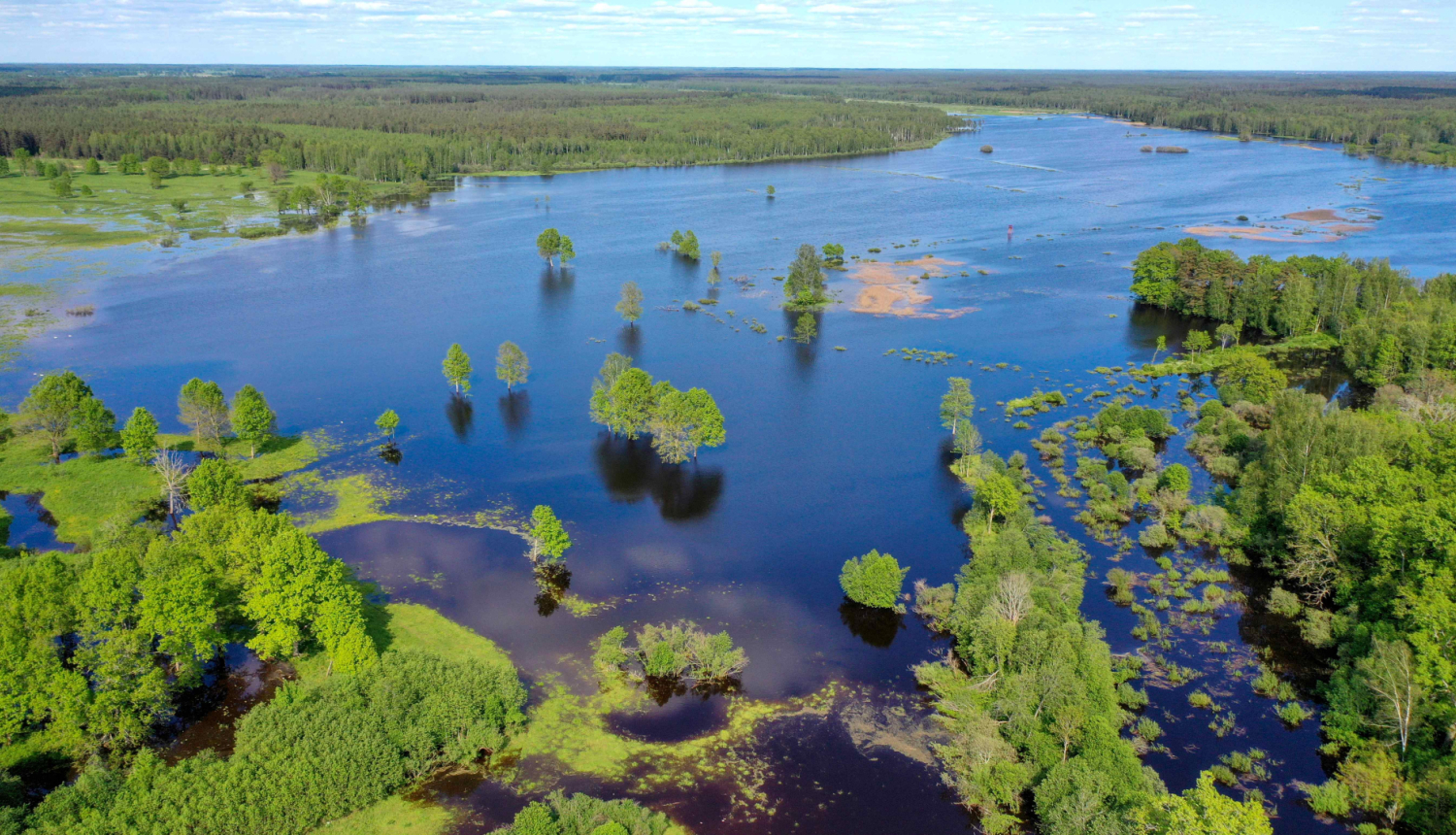 Attēls: Pļavas garšas diena – tradīcija, kas turpinās jau trešo gadu