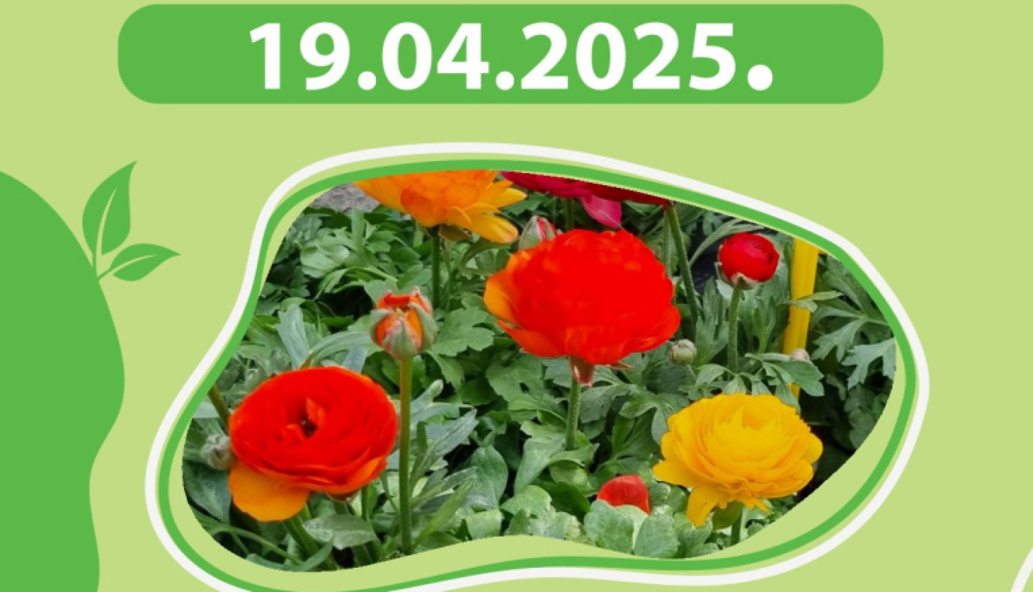 Attēls: Zaļais tirdziņš aprīlī Gulbenē