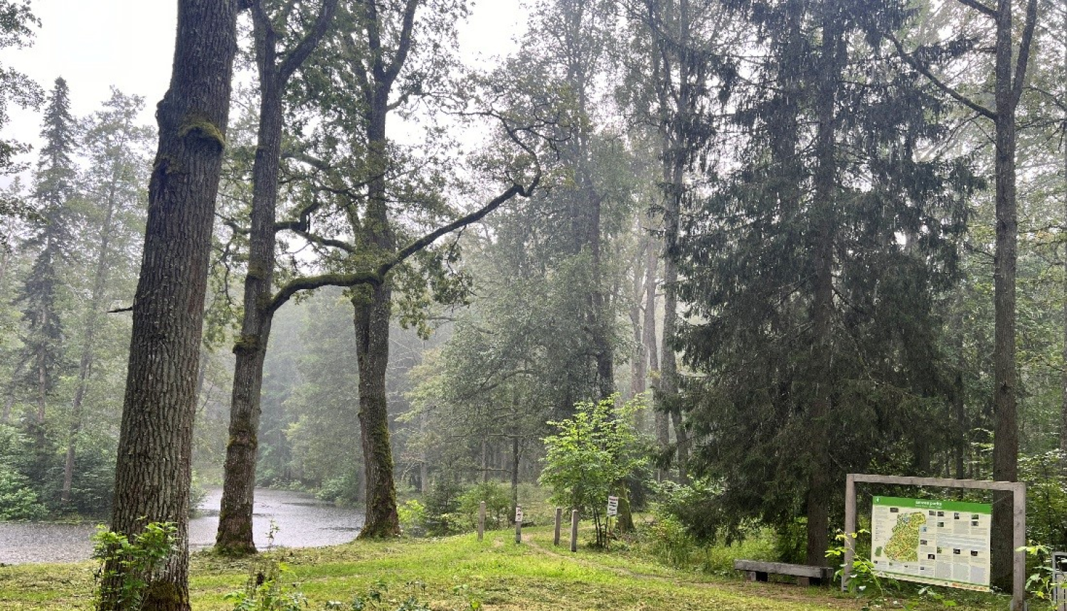 Attēls: Uzsāk grāvju tīrīšanu un izkopto taku uzturēšanu Emzes parkā