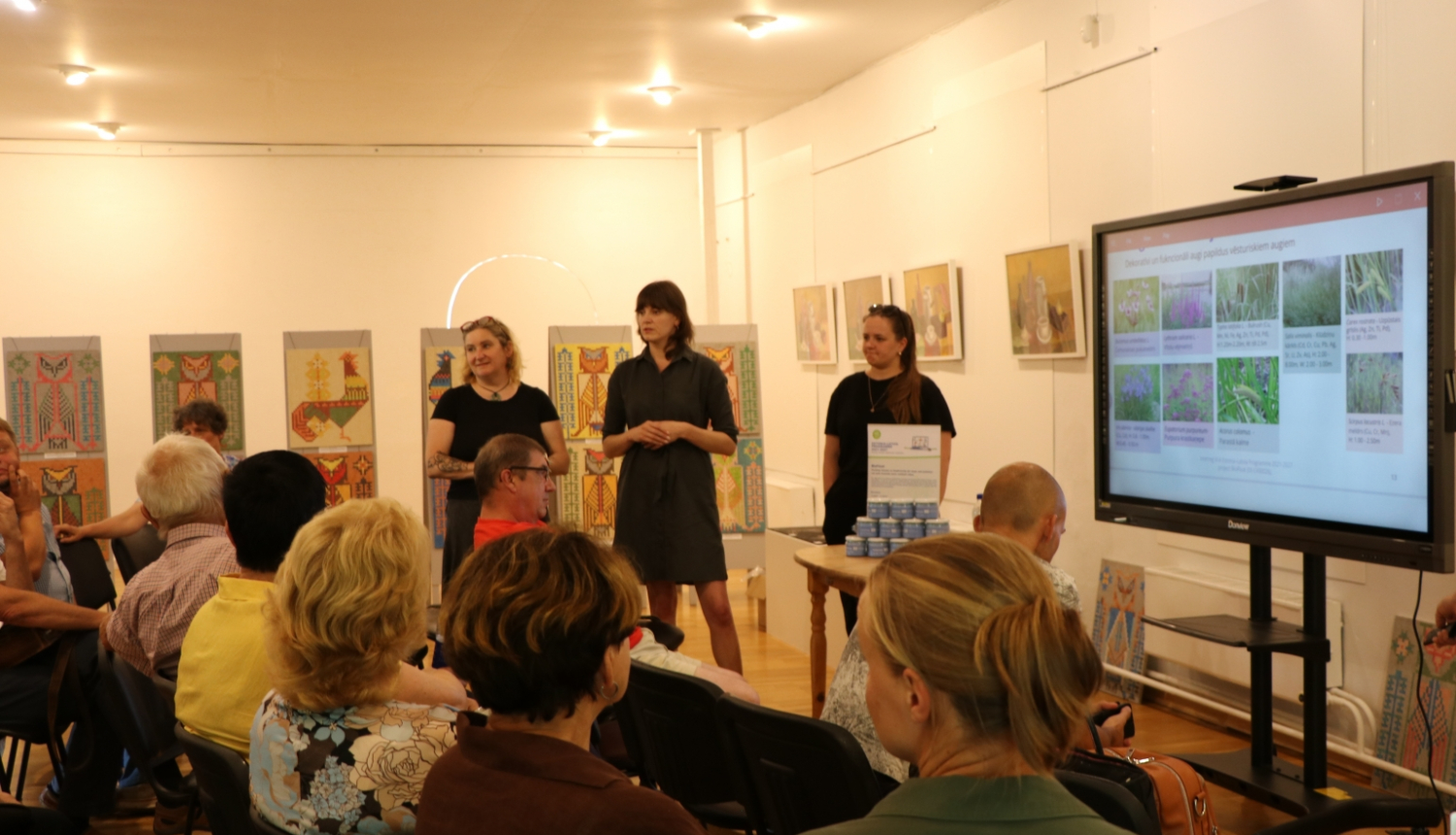 Diskusija par peldošās salas izveidi Dzirnavu dīķī Gulbenē. 