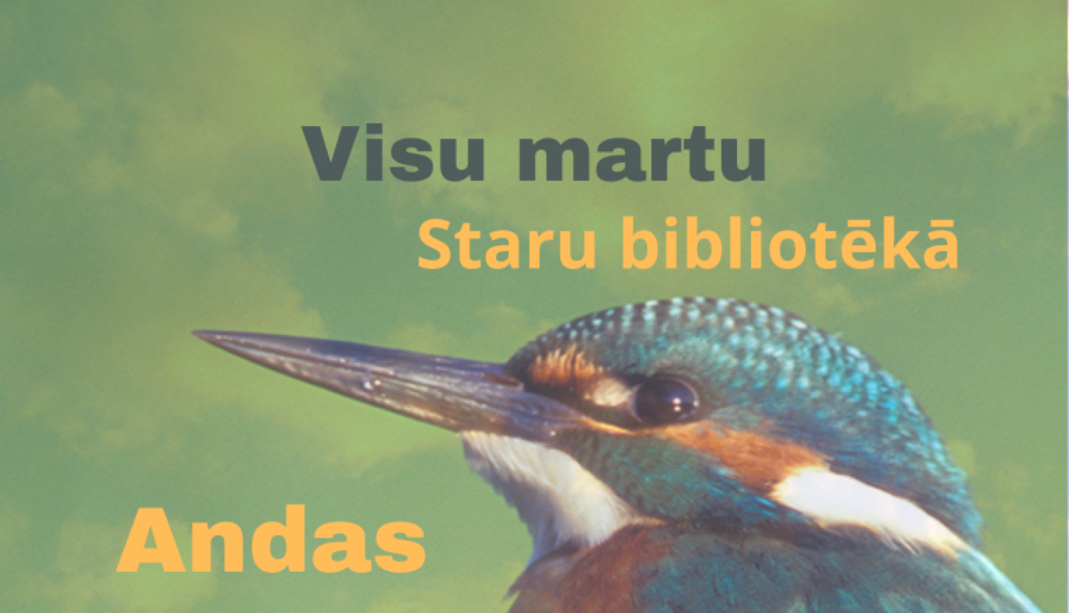 Fotogrāfiju izstāde "Putni Daukstēs"