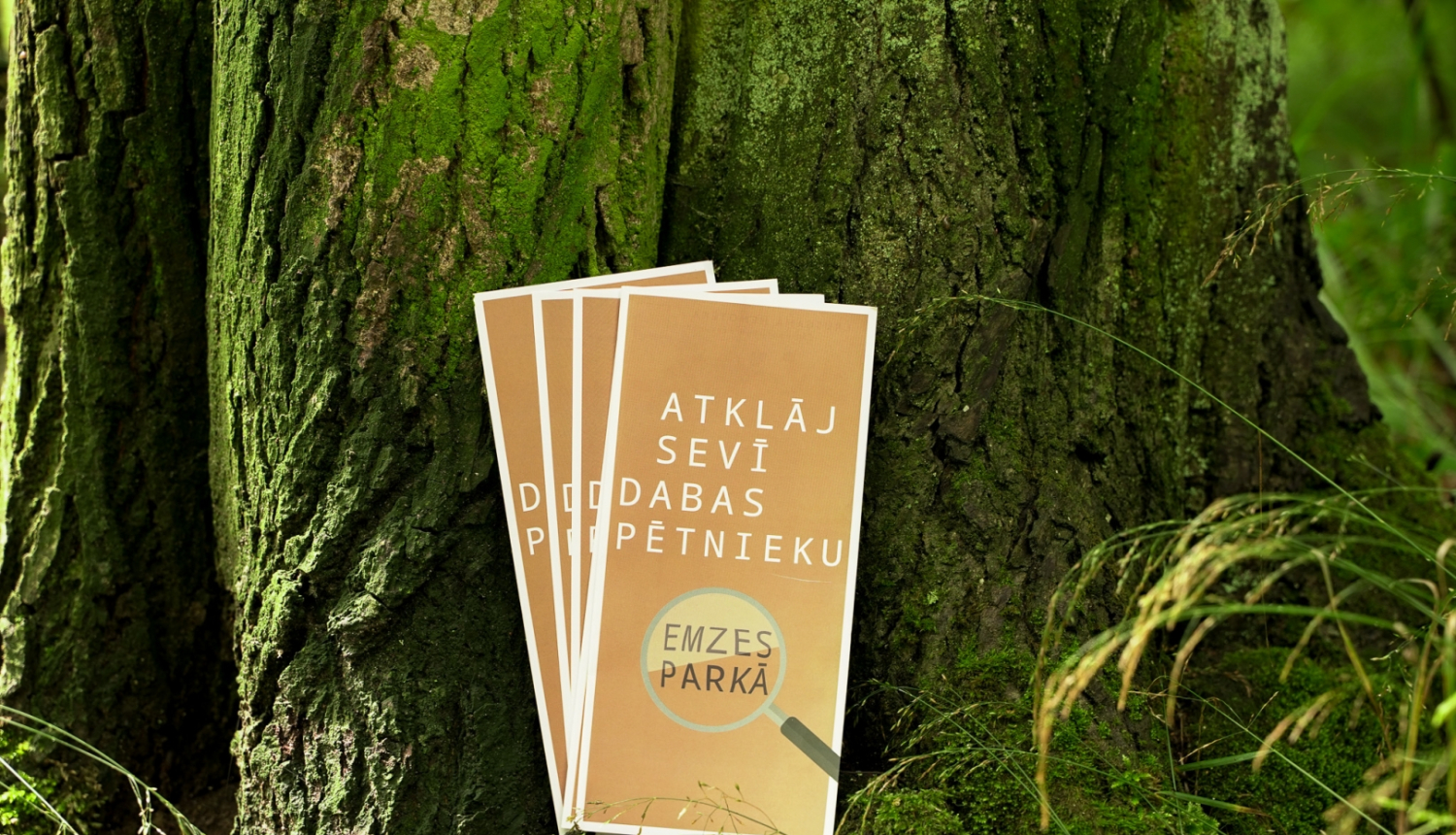 Jauns dabas izpētes maršruts Emzes parkā