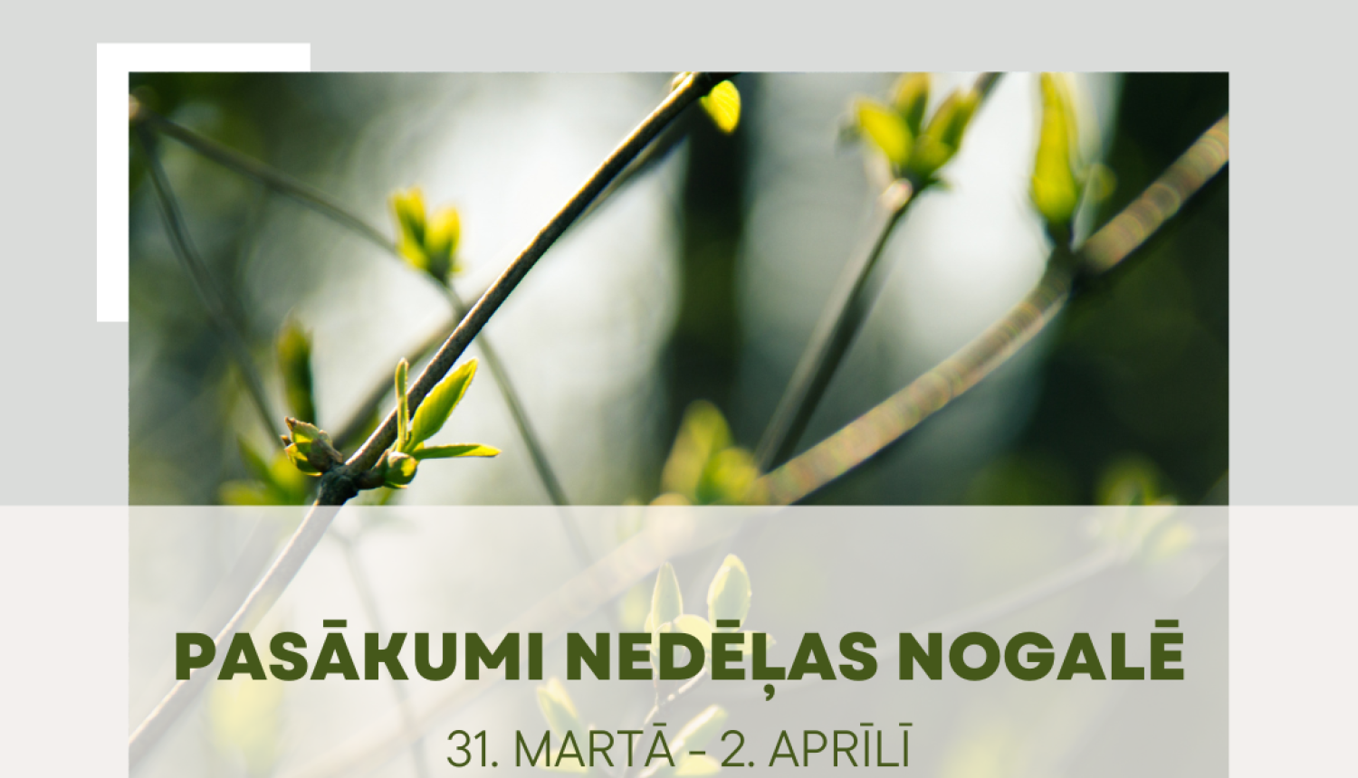 Titulbilde: Pasākumi nedēļas nogalē līdz 2.aprīlim