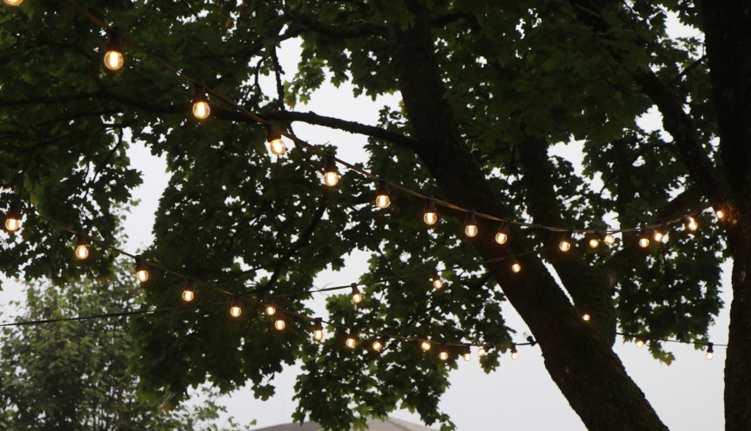 Lampiņas darbojas ar saules saražoto elektroenerģiju