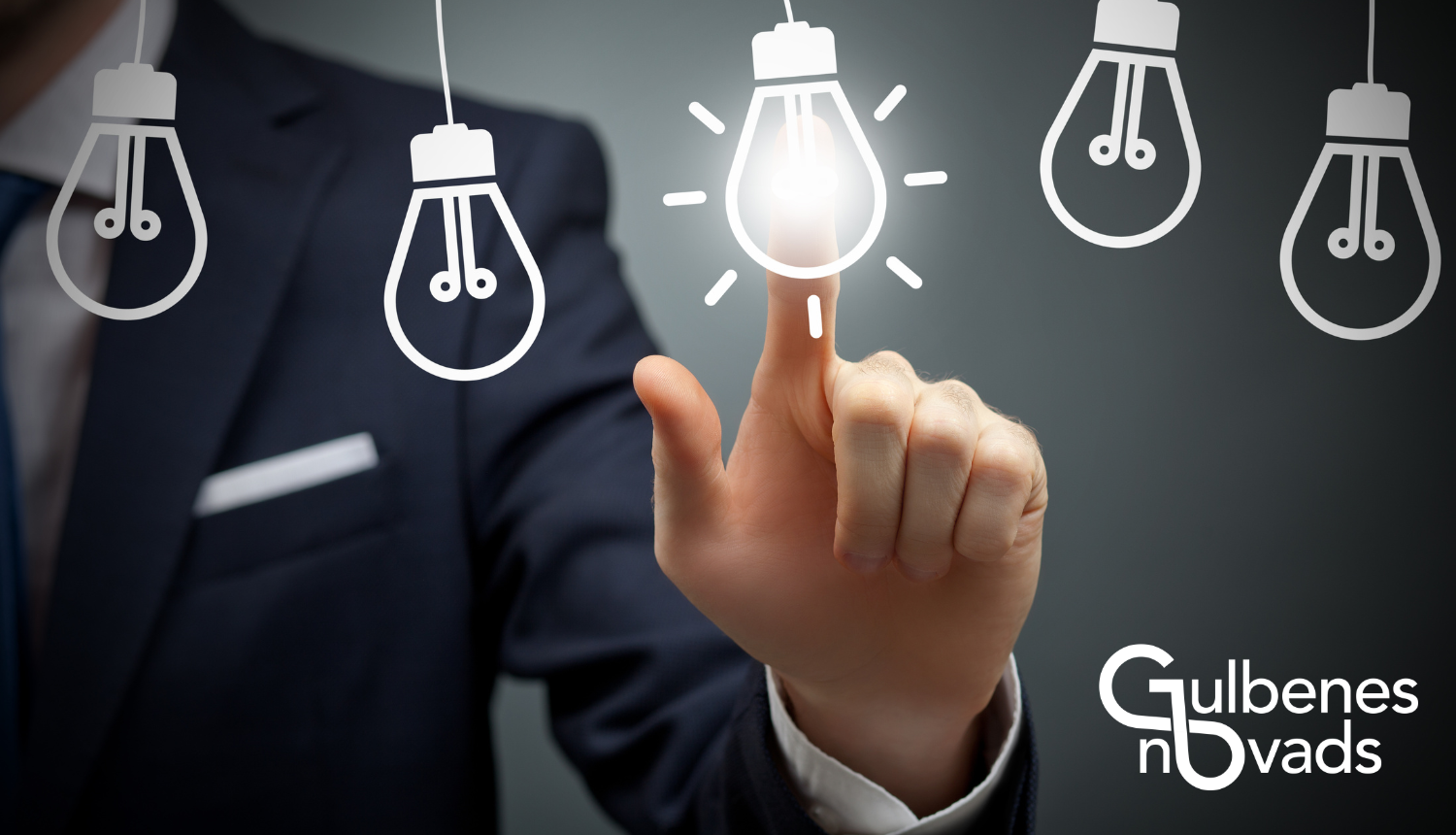 Attēls: Gulbenes novada līdzdalības budžeta projektu ideju konkurss 2025