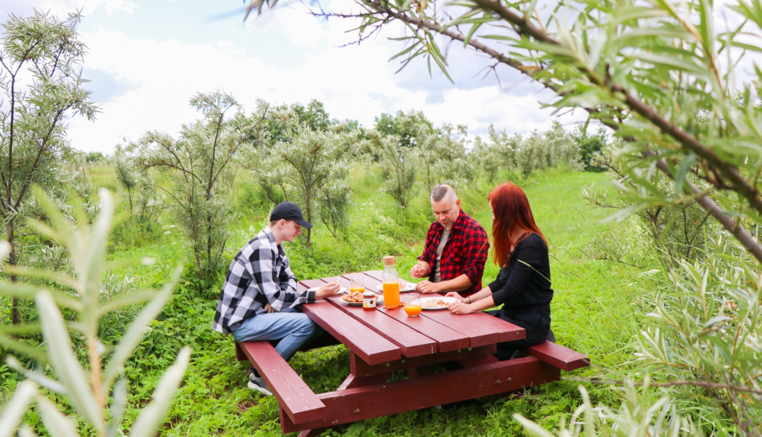 Attēls: mājas kafejnīcu dienas