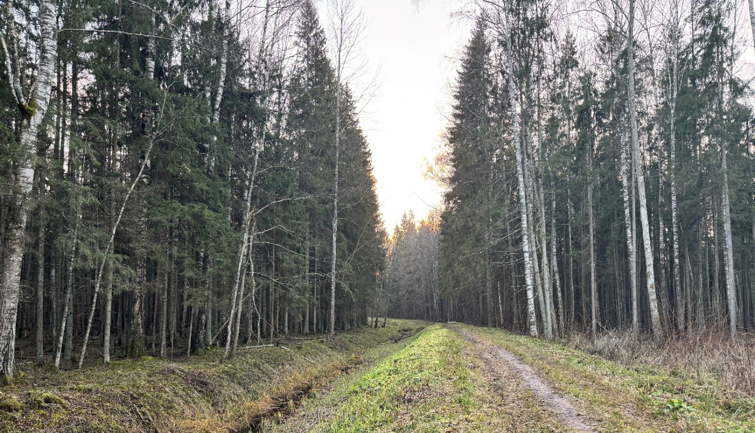 Attēls: Pabeigti kopšanas darbi Emzes parkā