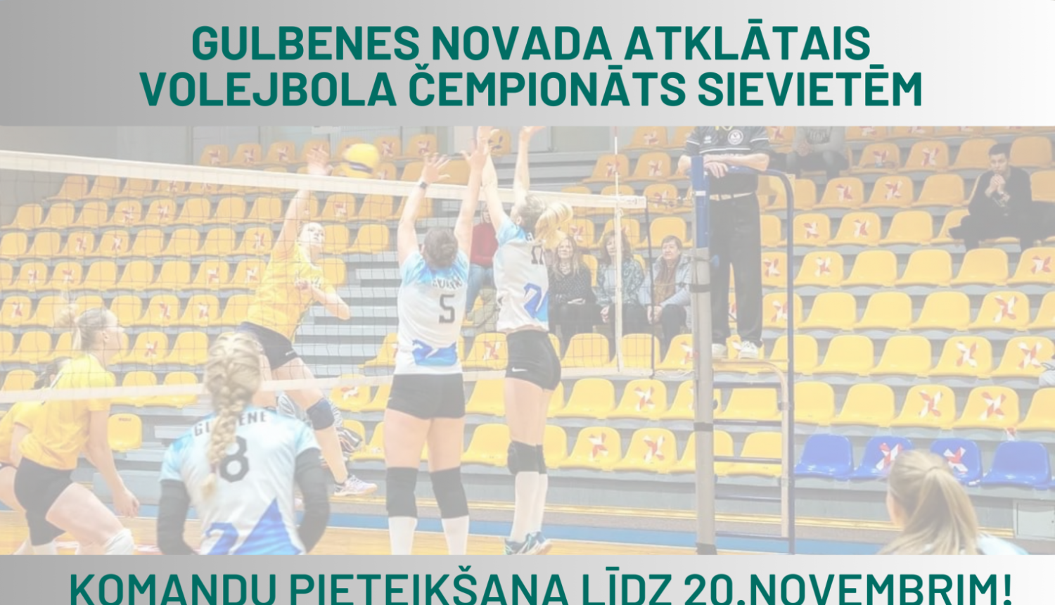 volejbola čempionāts