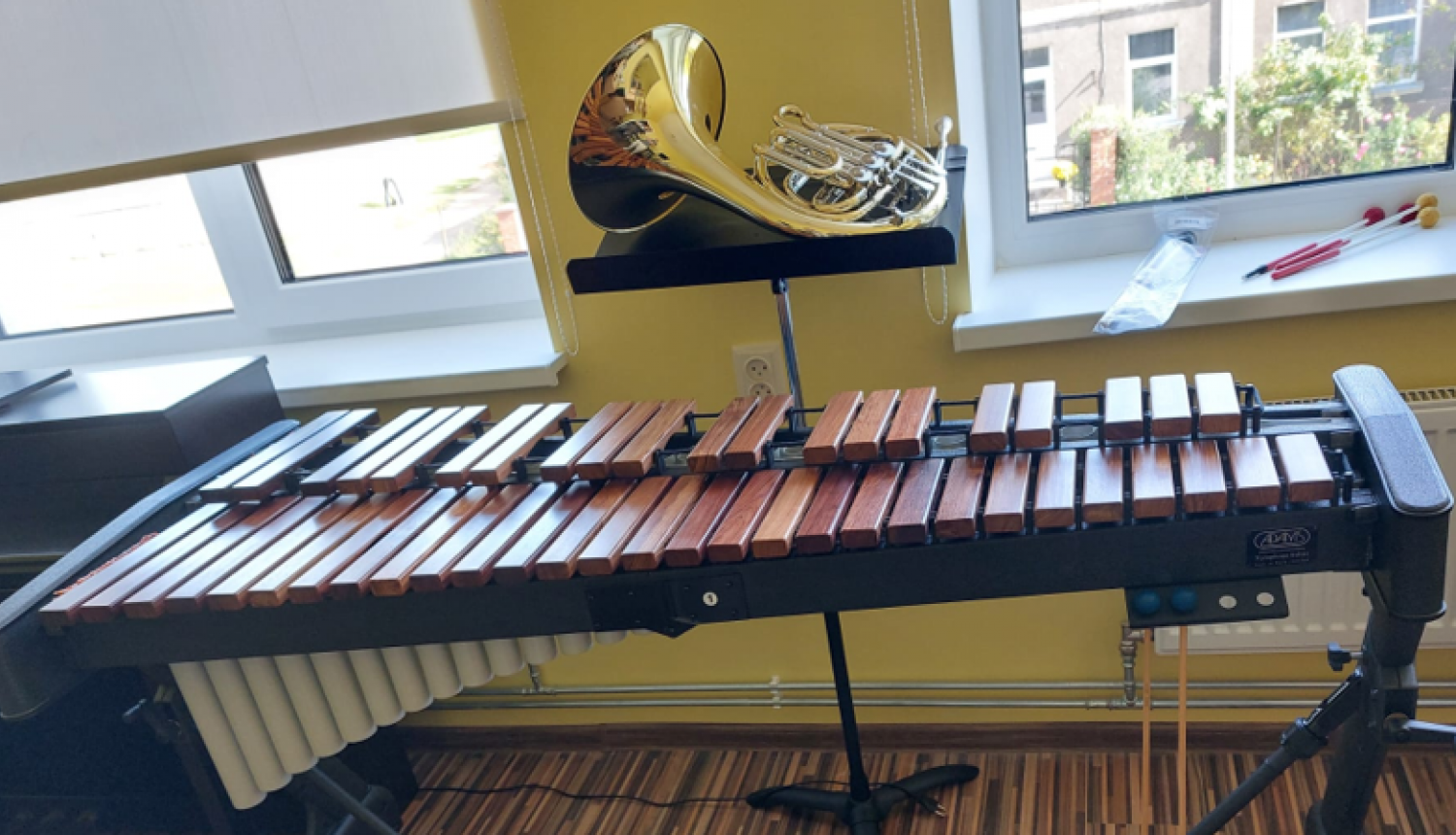 Gulbenes mūzikas skolas iegādājas mūzikas instrumentus