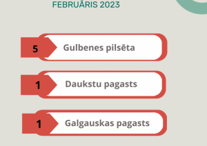 Gulbenes novada dzimtsarakstu nodaļas statistika par februāri, 2023
