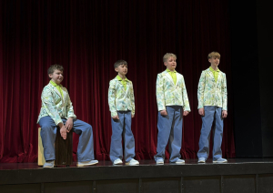 Attēls: Aizvadīta 2026.gada Gulbenes novada ansambļu koncertskate