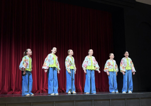 Attēls: Aizvadīta 2026.gada Gulbenes novada ansambļu koncertskate