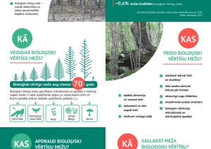 Dabas skaitīšana: mežs